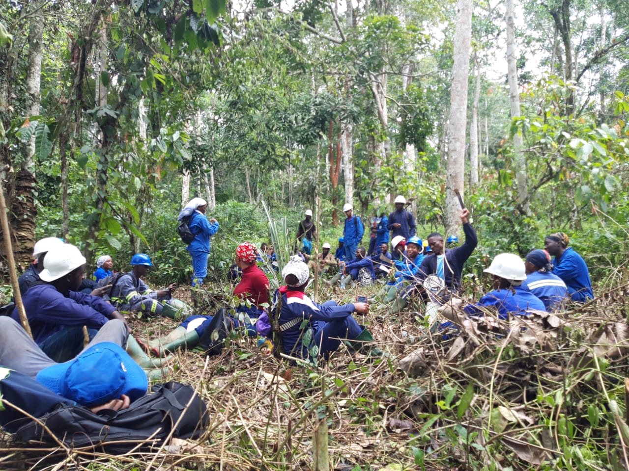 Étudiants en activité dans une forêt.
